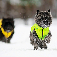 Куртка утепленная двухсторонняя для собак всех пород, жилет для собаки на молнии, салатово-желтый