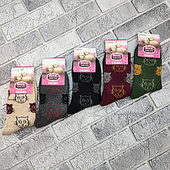 Шкарпетки жіночі високі зимові вовняні р.39-42 коти асорті GNG ТЕРМО 30038505