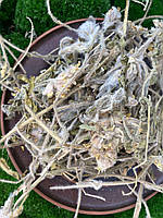 Астрагал шерстистоцветковый, Астрагал шестистоцвітний трава 1 кг