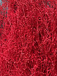 Гіпсофіла міні червона, фото 3