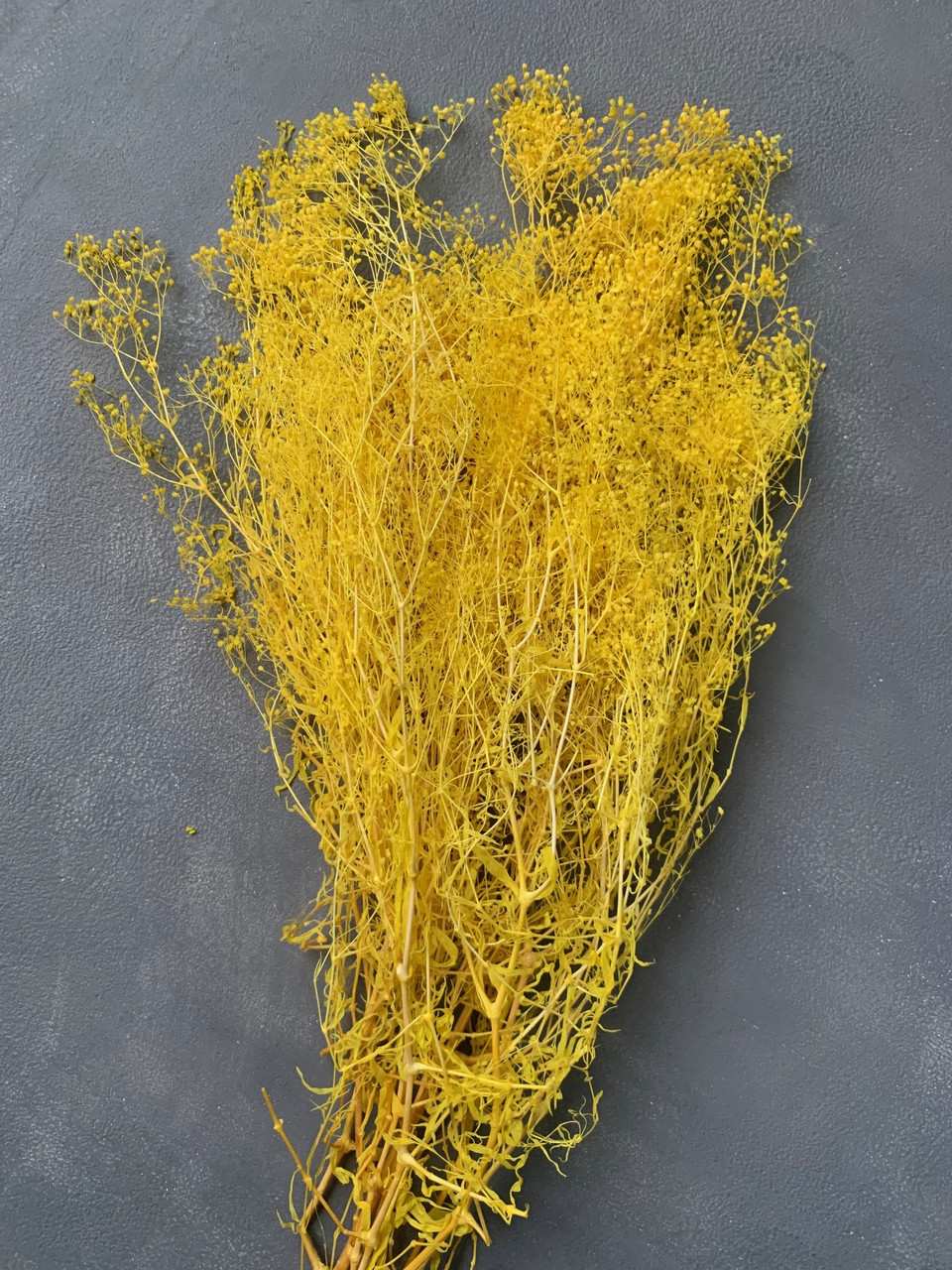 Гіпсофіла міні яскраво жовта