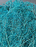 Гіпсофіла міні блакитна, фото 3