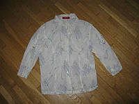 Блузка TAIFUN 100% хлопок, 36 размер