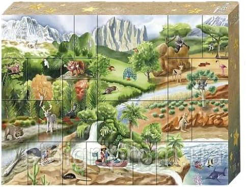 Адвент календарь Плеймобил Playmobil Wiltopia 71006 кругосветное путешествие 23 фигурки животных - фото 3 - id-p2032123807