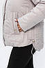 Стильна жіноча куртка єврозима, різні кольори,48-64, фото 8