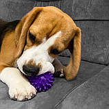 Іграшка для собак та котиків, м'яч із шипами (гольчатий м'ячик для котів, кішок) ПВХ 6 см OSPORT (R-00009), фото 5