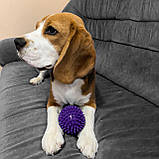 Іграшка для собак та котиків, м'яч із шипами (гольчастий м'ячик для котів, кішок) ПВХ 9 см OSPORT (R-00011), фото 4