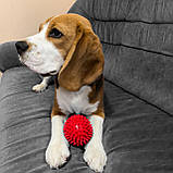 Іграшка для собак та котиків, м'яч із шипами (гольчастий м'ячик для котів, кішок) ПВХ 9 см OSPORT (R-00011), фото 8