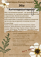 Збір "Антипаразитарний"Антипаразитный Монастырский чай от грибка,глистів,папілом