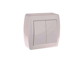 Вимикачі зовнішньої проводки подвійні