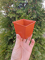 Горщики для кактусів/сукулентів, 6×6×5,5 см (об'єм 0,15 л)