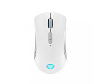 Миша Lenovo Legion M600 Wireless Gaming Mouse Stingray (GY51C96033)