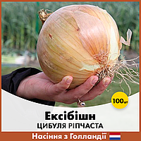 Лук репчатый Эксибишн, 100 шт, Голландские семена