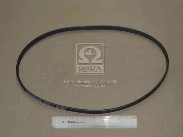 Ремінь поліклин. 4PK1015 (вир-во DONGIL), фото 1