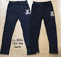 Лосини утеплені для дівчаток оптом, Sincere, 116-146 см, № LL-3554, фото 7