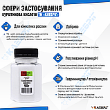 Бурштинова кислота ТМ Клебріг 90 г, добриво стимулятор росту, фото 2