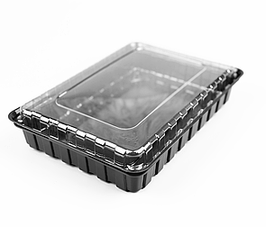 Упаковка для суші, ролів та холодних страв 270х190х60 мм (3-5 ролів сет) (10 шт/уп)