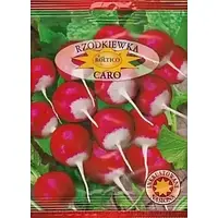 Насіння редиски Каро 20г Польща ТМ ROLTICO