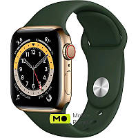 Apple Watch Series 6 (GPS Cellular) 40mm Gold Stainless Steel Case with Cyprus Green Sport Band (M02W3/M06V3)