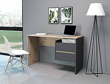 Письмовий стіл з шухлядами прямий, Комп'ютерний стіл для дому, офісу 120 см Paco 3 MM, фото 2