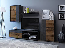 Стінка гірка для вітальні модульна Берно ММ , модульні вітальні в зал, фото 2