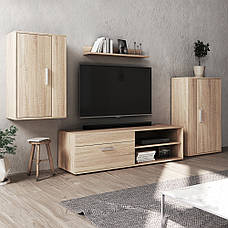 Стінка гірка для вітальні модульна Берно ММ , модульні вітальні в зал, фото 4