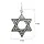 Кулон Зірка Давида зі срібла 3116-ч, фото 2