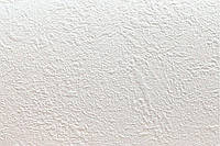 Столешница кухонная Белый снег (текстура камень) 38 мм, Столешница для кухонного гарнитура