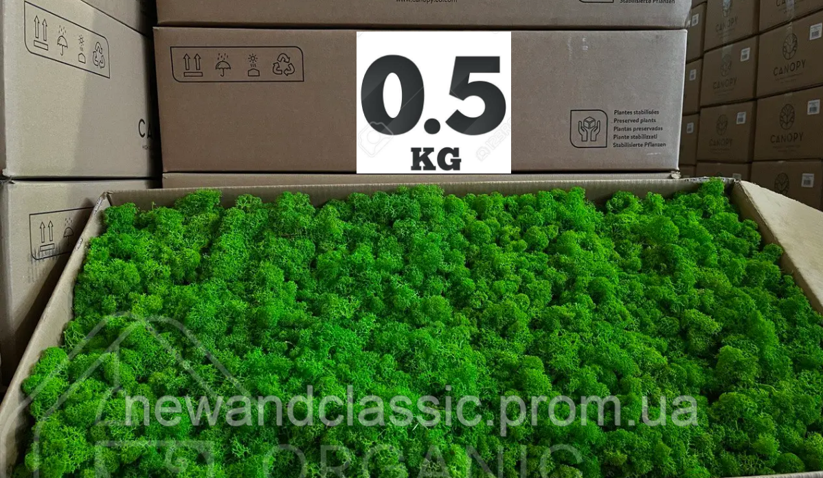 Стабилизированный норвежский мох ягель 0.5 кг  Nature Green 202