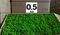 Стабілізований норвезький мох ягель 0.5 кг Nature Green 202