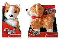 Іграшка інтерактивна Собачка на повідці, PL82010, гавкає, літає хвостом, р-р іграшки 22 см