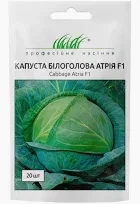 Капуста Атрія F1, білокачанна, середньо-пізня, 20 шт