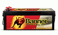 АКУМУЛЯТОР BANNER 12V 190AH 1050A EN BUFFALO BULL EFB L+ 514*223*220MM