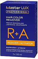 Засіб для видалення фарби з волосся ремувер Master LUX professional Hair color remover кислотна змивка 2*100 мл