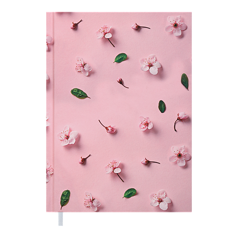 Щоденник недат PROVENCE A5 рожевий, фото 1