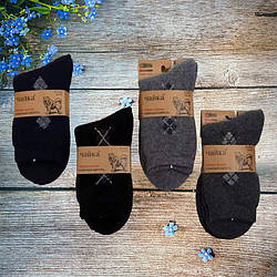 Чоловічі шкарпетки з собачою шерстю Розмір: 42- 48 (15366)