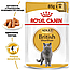 Вологий корм для котів породи Британська короткошерста Royal Canin (Роял Канін) British Shorthair Adult шматочки в підливі 85 г, фото 2