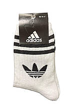 Жіночі шкарпетки Adidas високі White