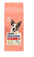 Сухий корм Purina Dog Chow Active Adult для собак з підвищеною активністю з куркою 14 кг (7613034487933)