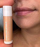 Натуральний бальзам для губ MODAY Kombucha 5 г, фото 3