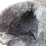 Чоловічі зимові кросівки Nike Air Force 1 (чорні) модні повсякденні форси 4035 Найктоп, фото 10