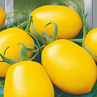 Семена томатов Лимон-Лиана Солнечный Март 25 шт