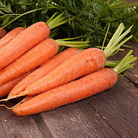 Семена моркови Красная боярыня Satimex 10 г