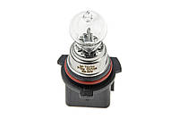 NTY (OPAKOWANIE 10 SZT.) BULB P13W(EZ-P13W)