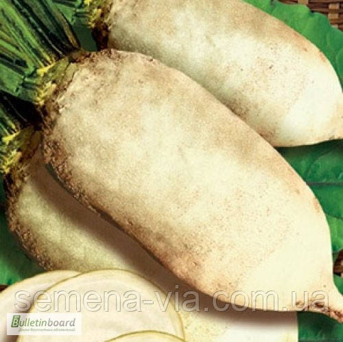 Буряк кормовий Центаур (0,5 кг)