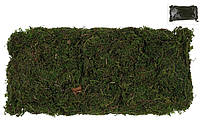 Упаковка штучного моху (100гр) у пакеті, колір - натуральний зелений