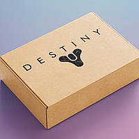 Подарочный бокс СЮРПРИЗ Destiny 2 box