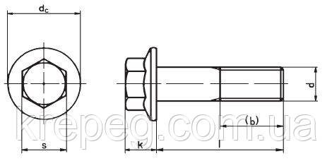 Болт с фланцем М8*20-100 DIN 6921 из нержавеющих сталей - фото 5 - id-p363383901