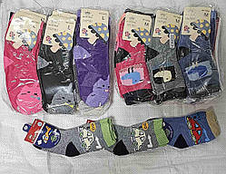 Дитячі шкарпетки "Корона" махра 3 розміри