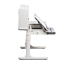 Комплект меблів Fundesk Fiore II Grey + Fundesk Leone Pink, фото 4